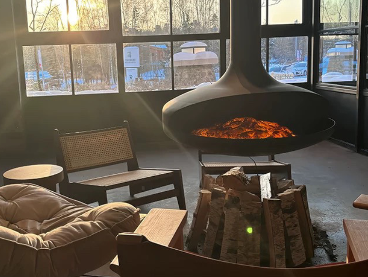 electric fireplace (2)